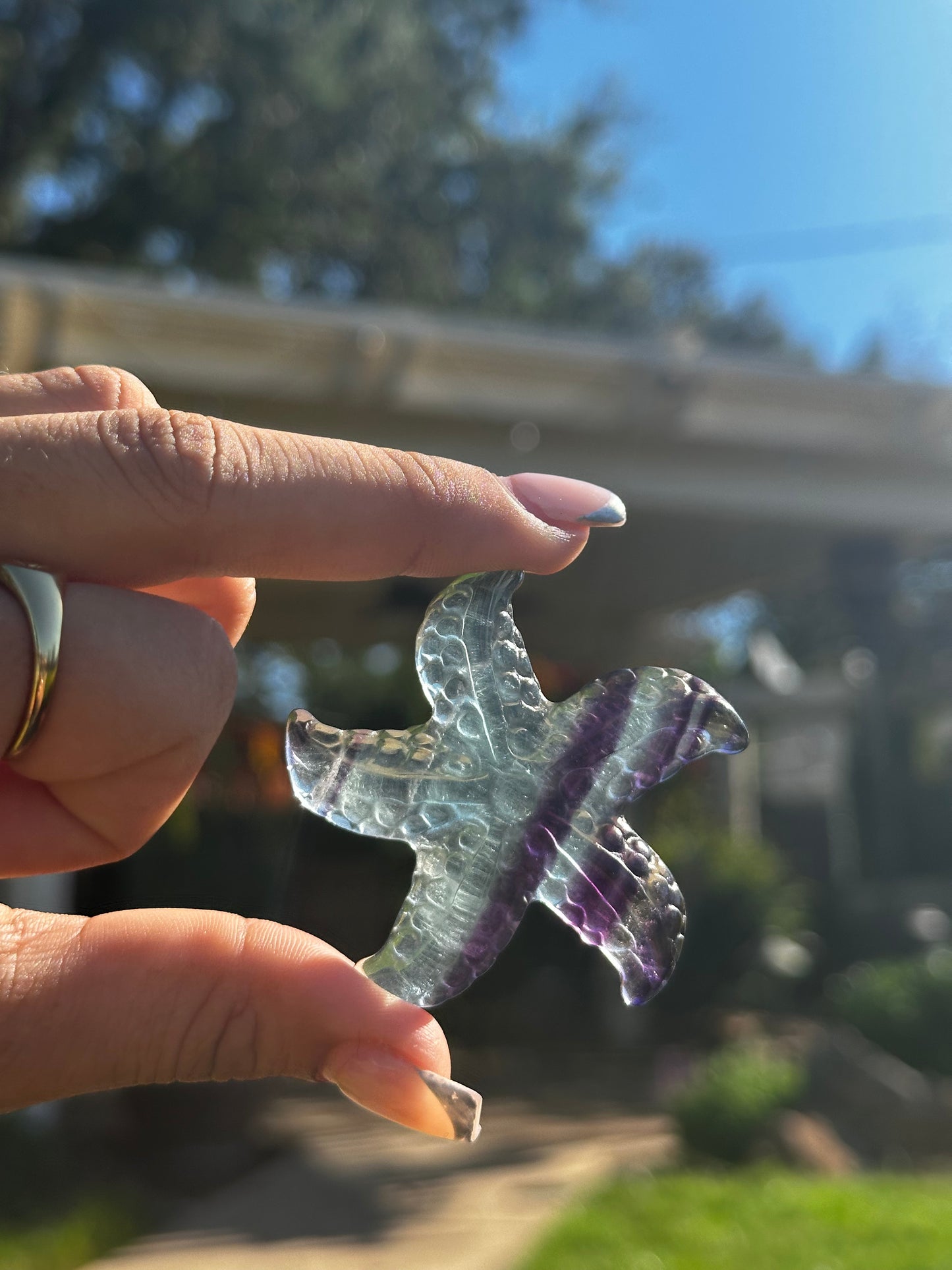 Fluorite starfish