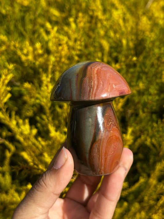 Polychrome Mushrooms