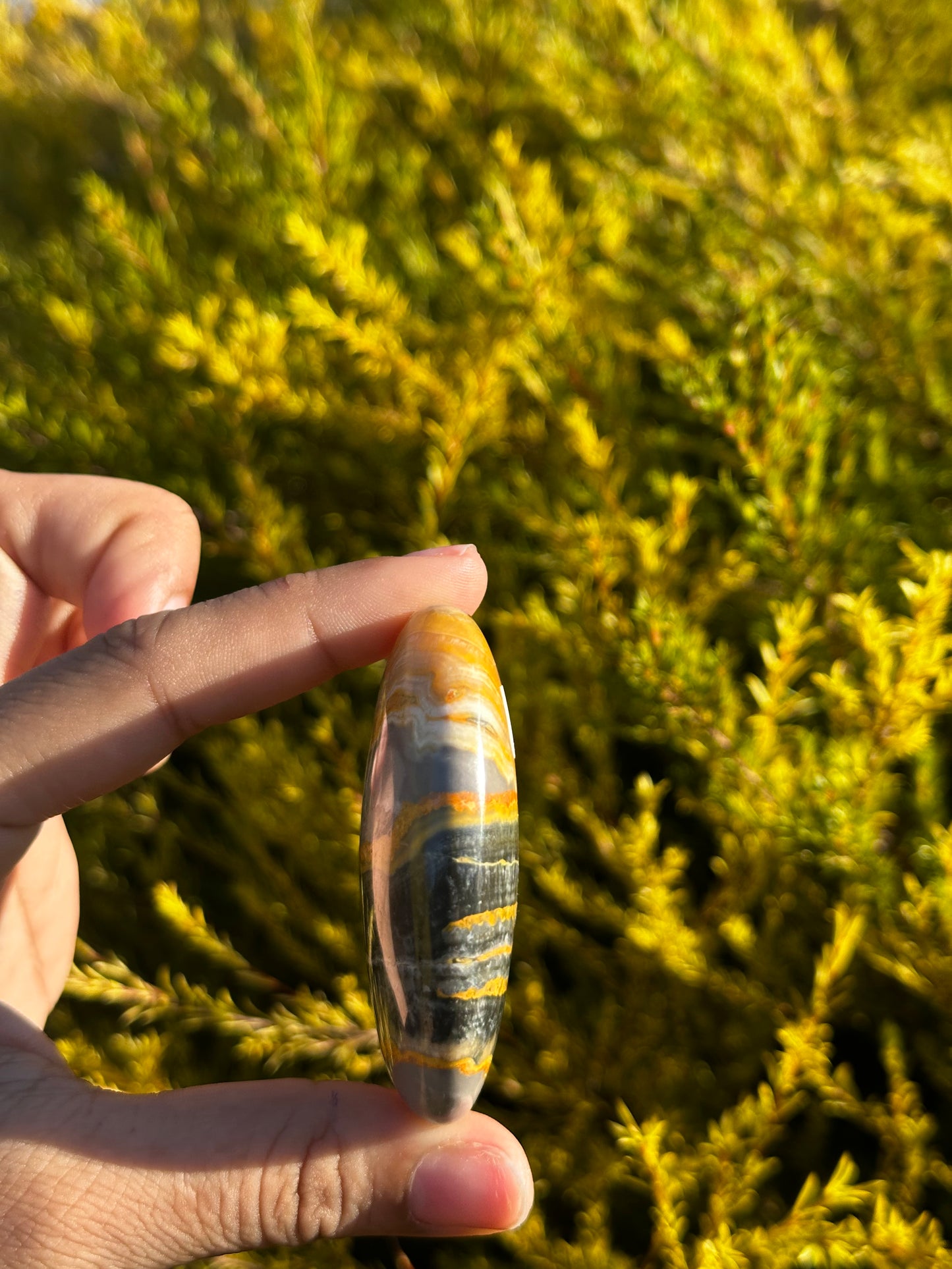 Bumblebee Jasper palmstone