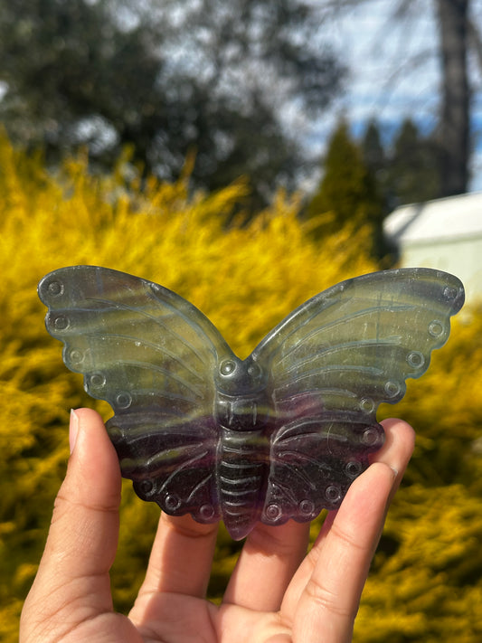 Fluorite Butterfly