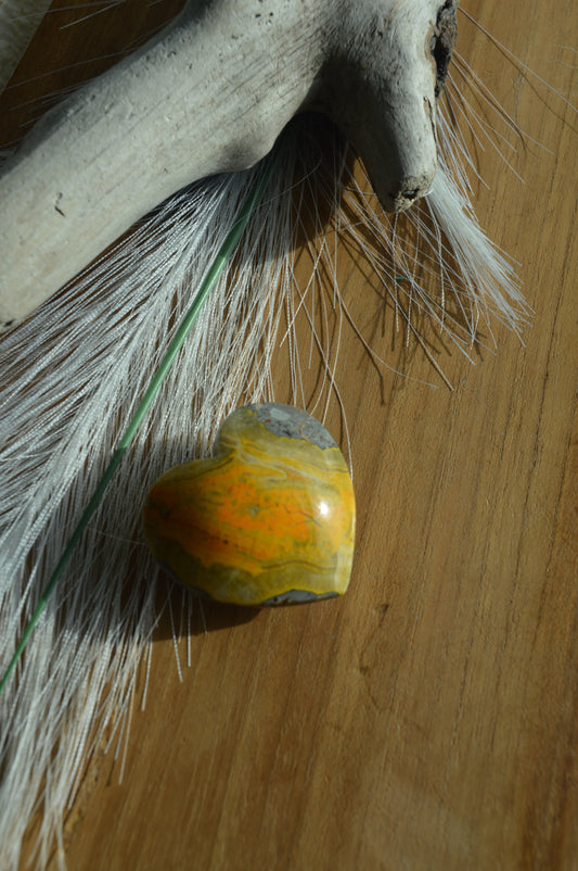 Bumblebee Jasper heart