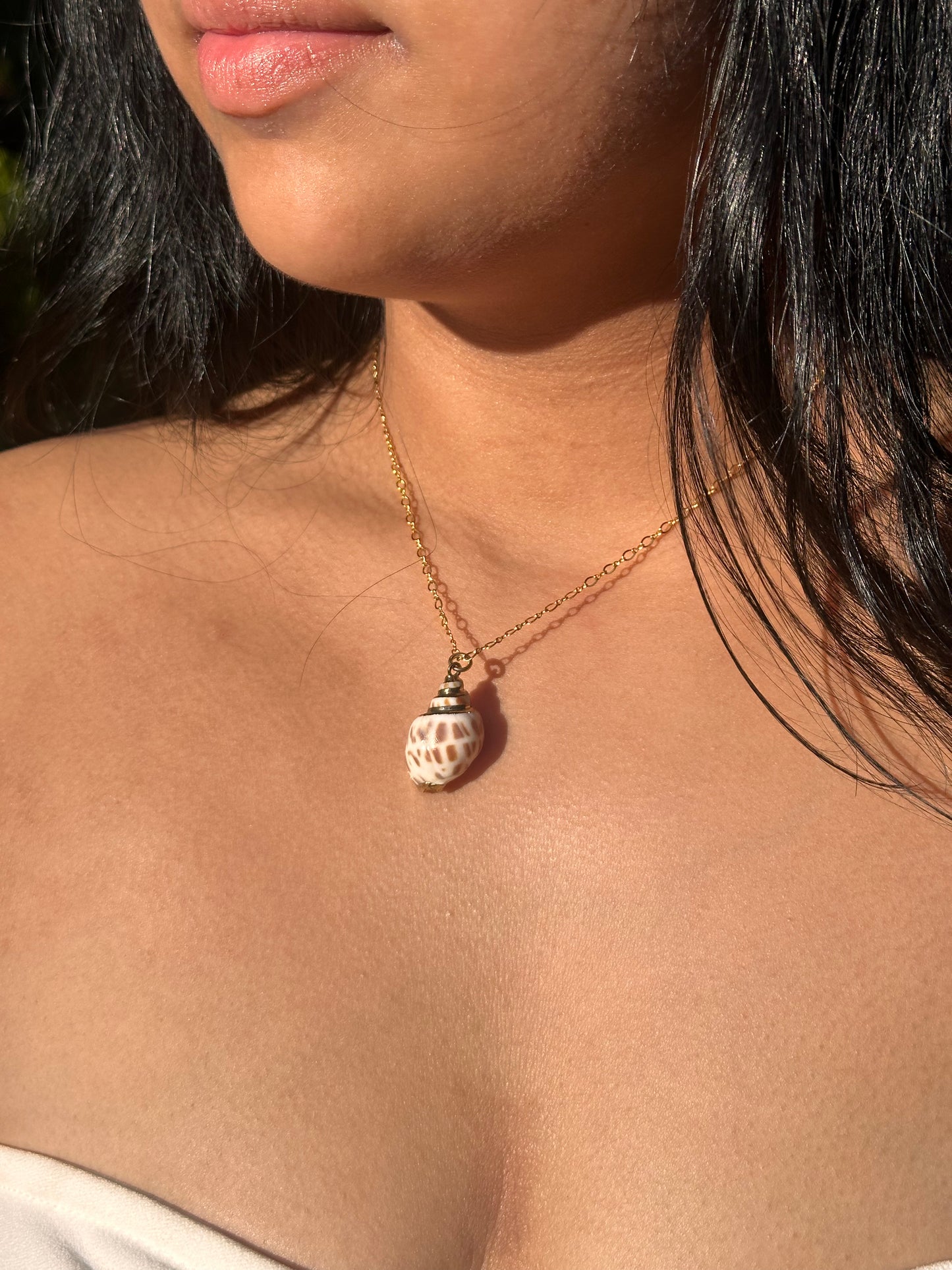 Conus Shell Necklace