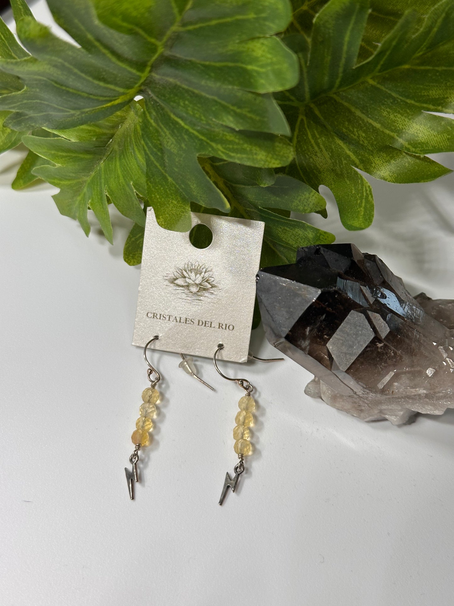 Struck in time Earrings