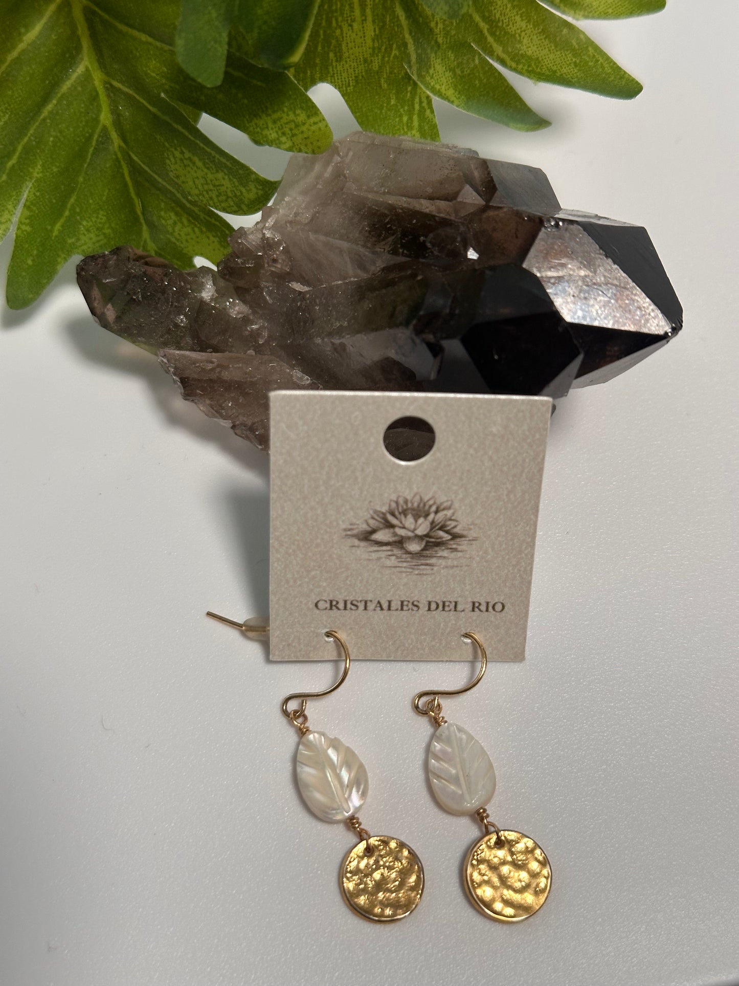 Gold coin Earrings