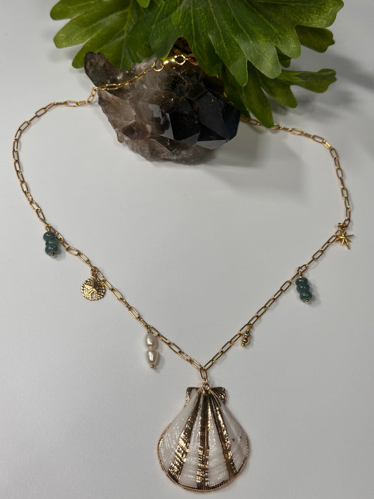 Scallop shell Chain Necklace
