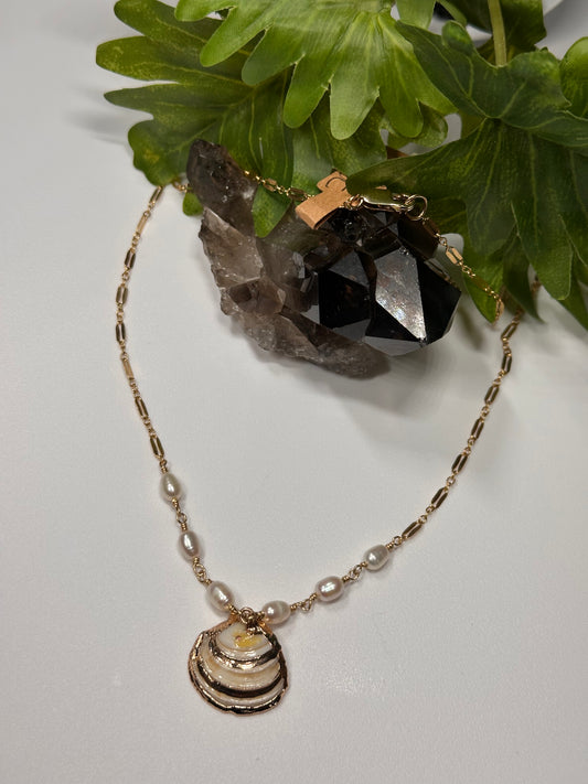Stripped Scallop Shell Chain Necklace