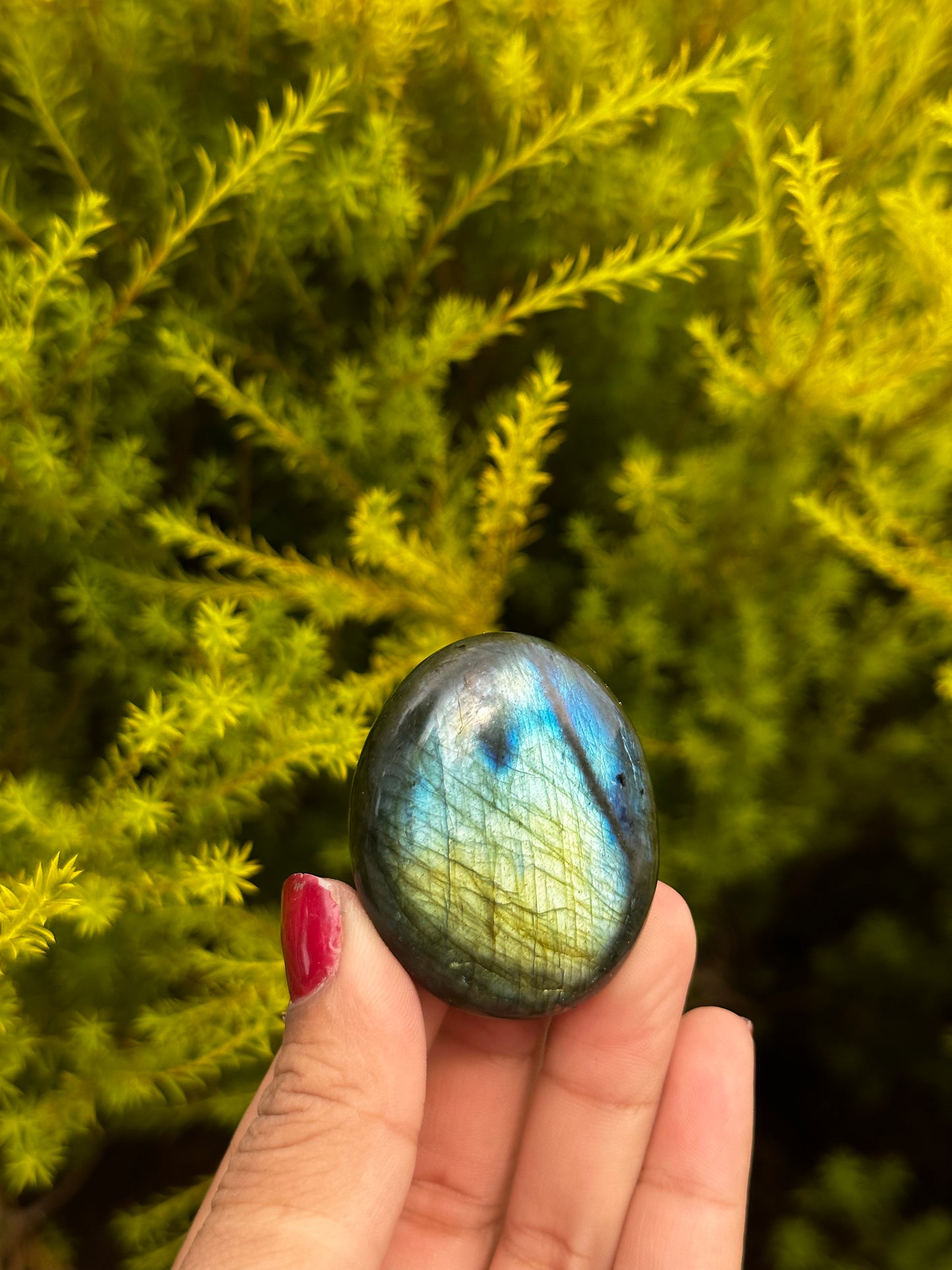 Labradorite mini palmstones