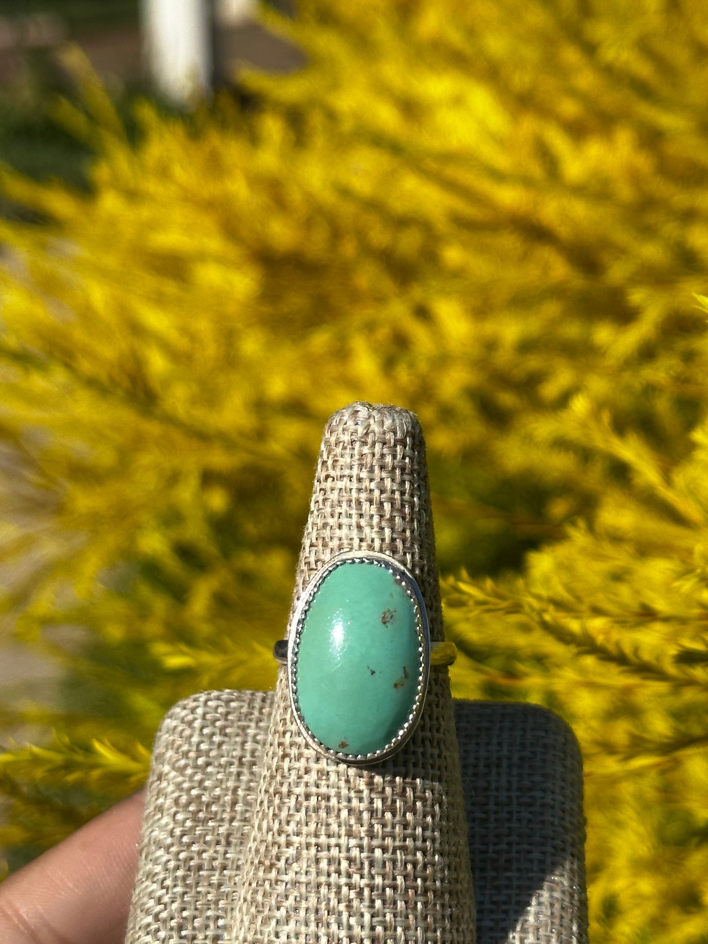 Oval King Mountain Turquoise ring