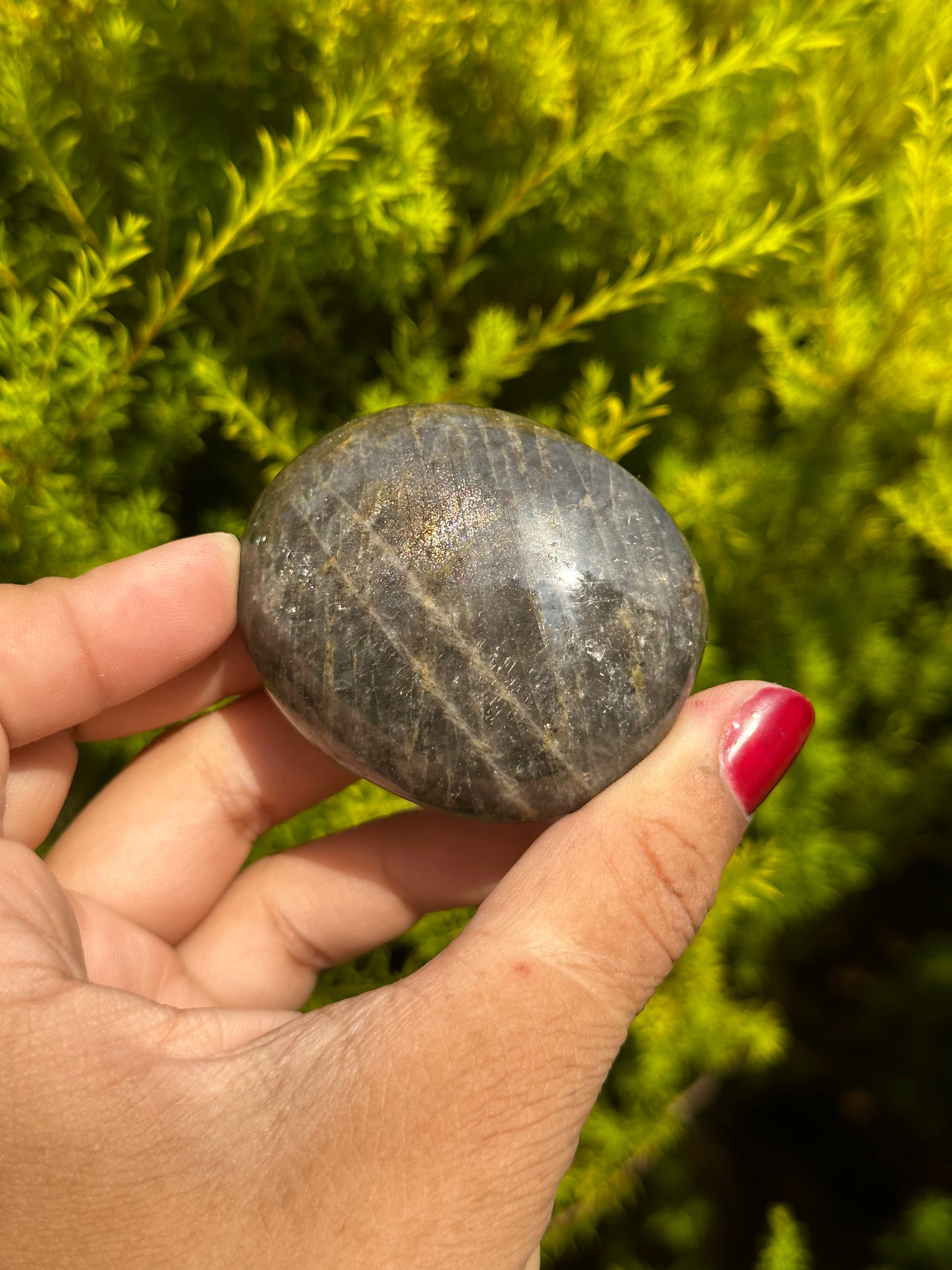 Black Moonstone palmstone