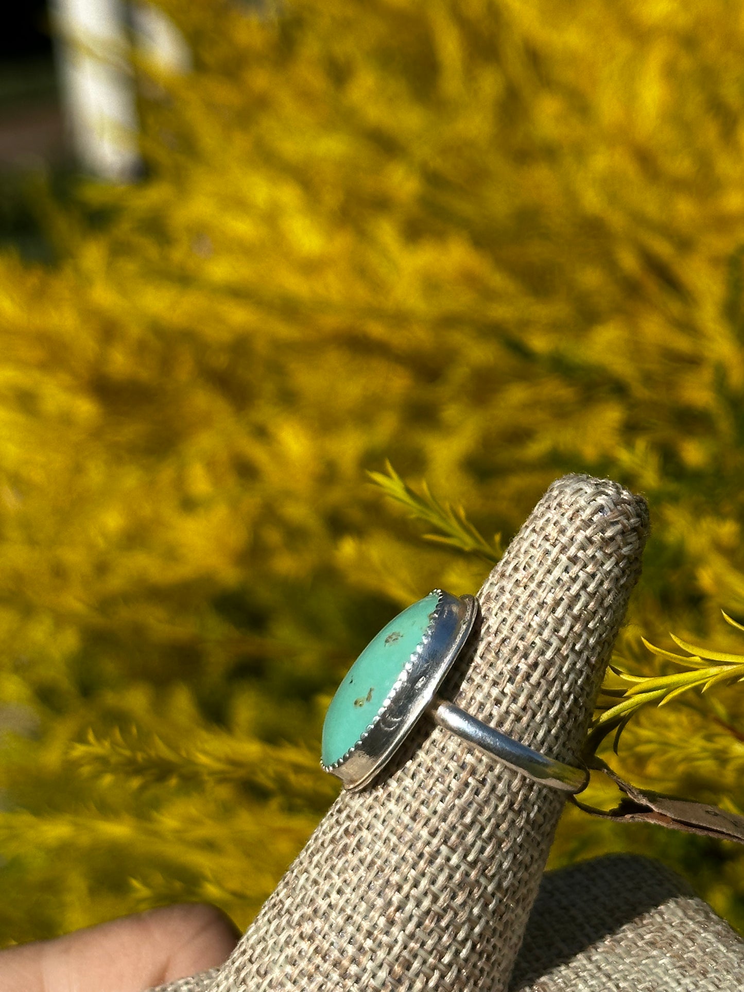 Oval King Mountain Turquoise ring