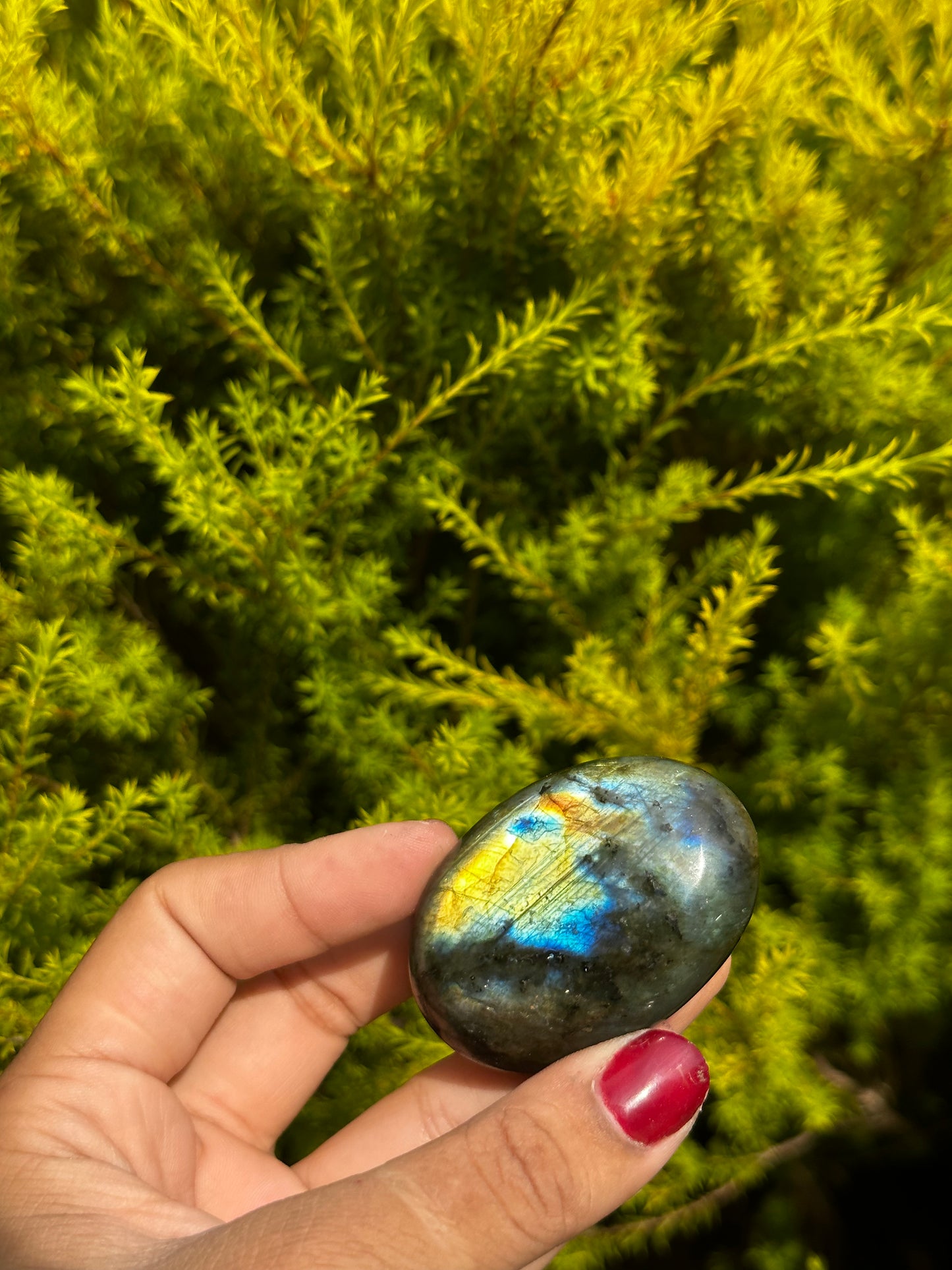 Labradorite mini palmstones