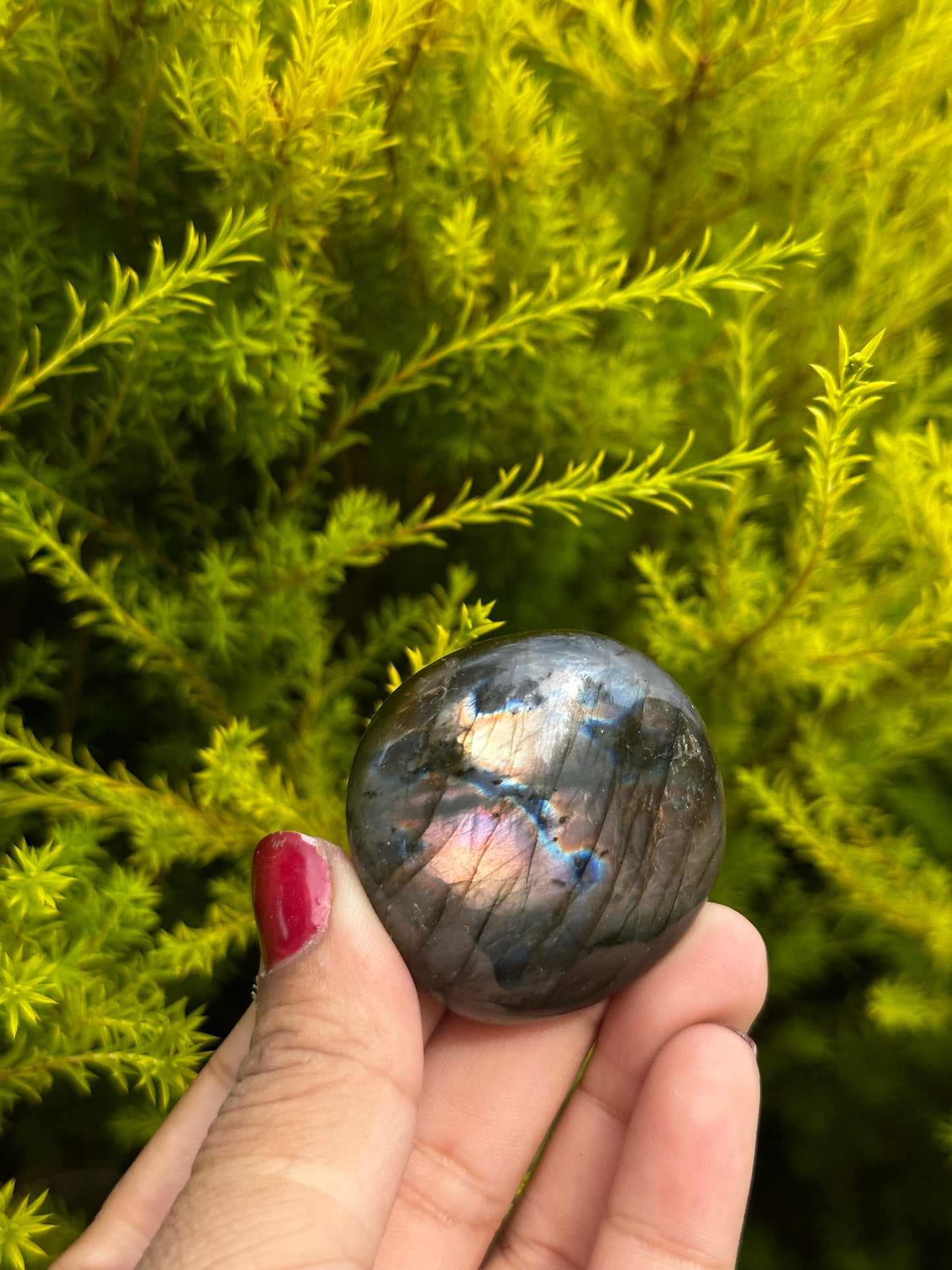 Unique Labradorite palmstone