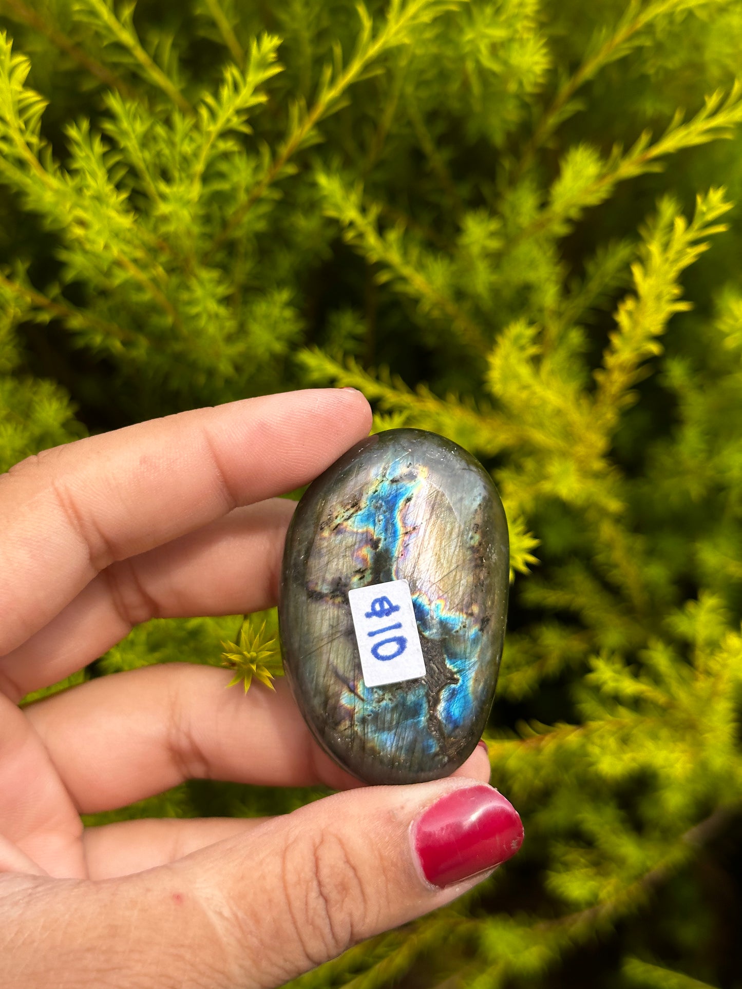 Unique Labradorite palmstone