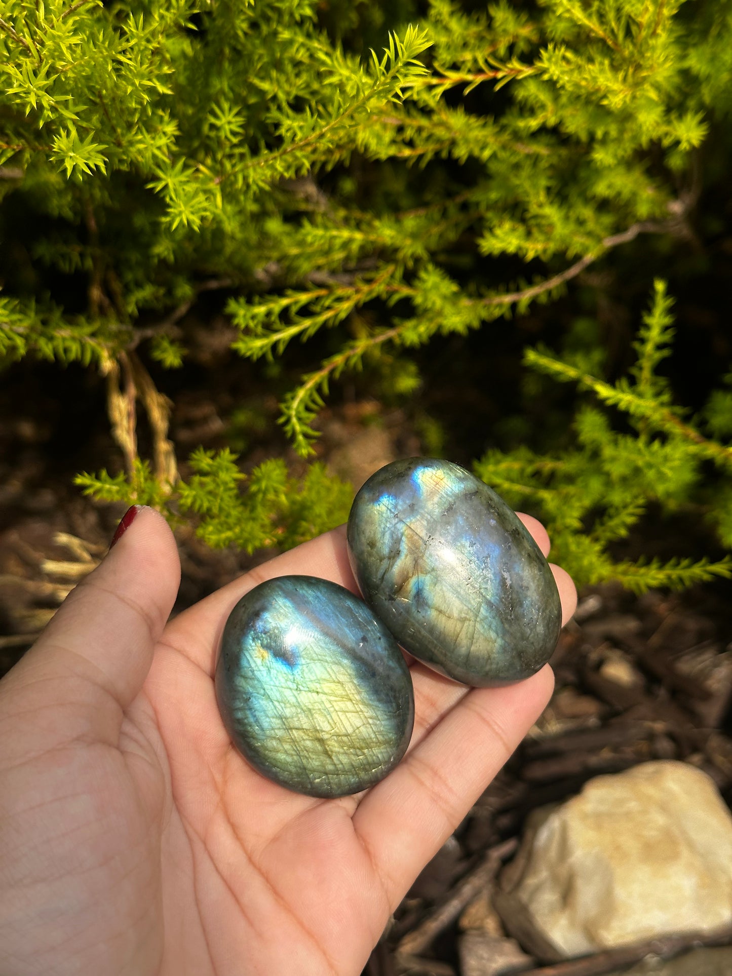 Labradorite mini palmstones