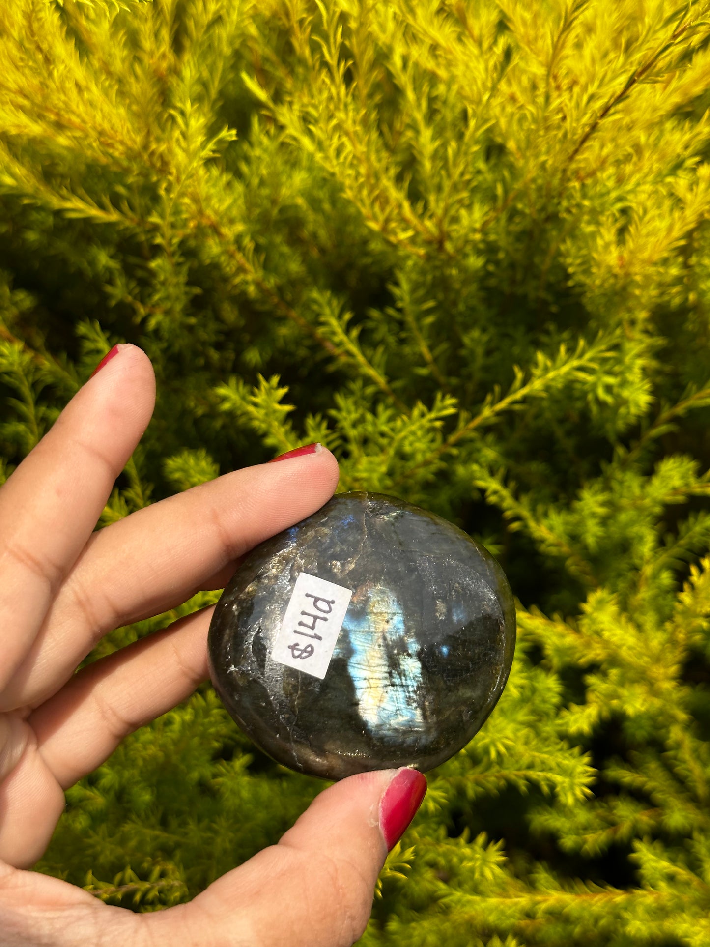 Labradorite palmstone